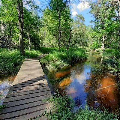 Rozlewisko Mała Panew